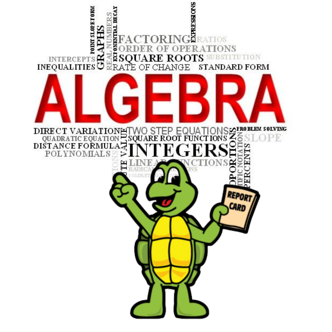 The Basics- Algebra